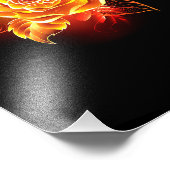 ブルーミング火災バラ フォトプリント            (角)