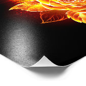 ブルーミング火災バラ フォトプリント            (角)