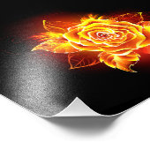 ブルーミング火災バラ フォトプリント            (角)