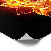 ブルーミング火災バラ ポスター (角)