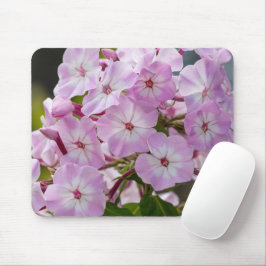 ブルーミング美しい：魅力的なPhlox写真 マウスパッド