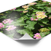 ブルーミング・ロマンス フォトプリント            (角)