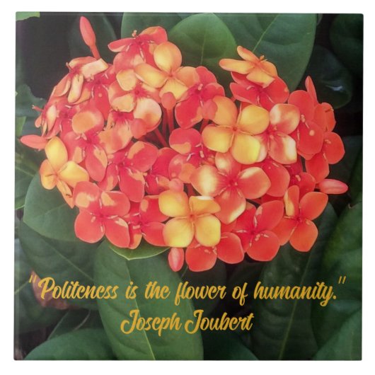 ブルーミングIxoraセラミックタイル タイル (正面)