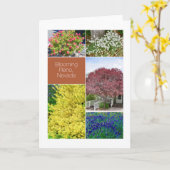 ブルーミングReno，ネバダ，花写真 カード (黄色い花)