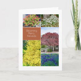 ブルーミングReno，ネバダ，花写真 カード
