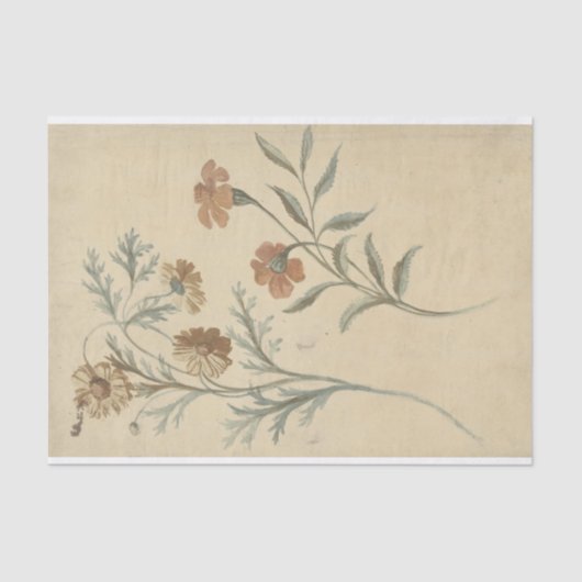 ブルームスティーヴンエーンオンエーンブルインブルーム 薄葉紙 (正面)