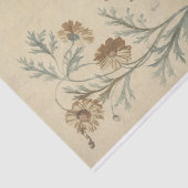 ブルームスティーヴンエーンオンエーンブルインブルーム 薄葉紙 (詳細)