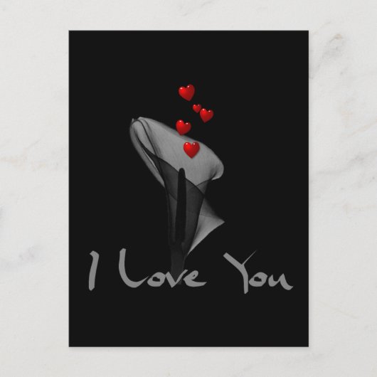 ブルームリリー ポストカード (正面)