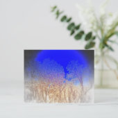 ブルームーンベビー ポストカード (スタンド正面)