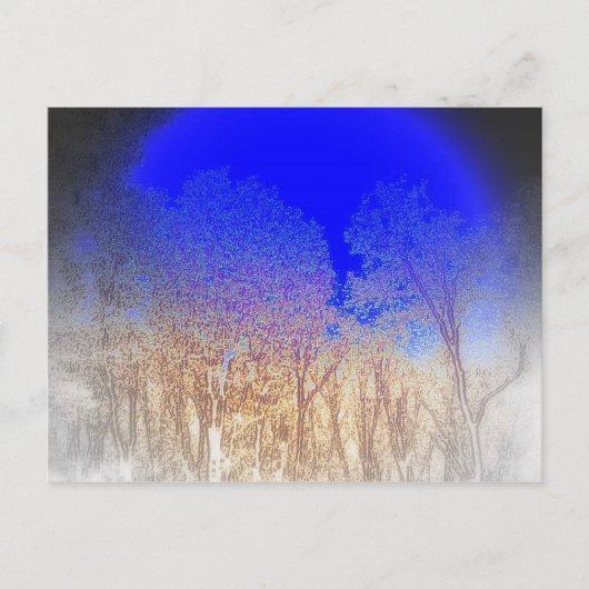 ブルームーンベビー ポストカード (正面)