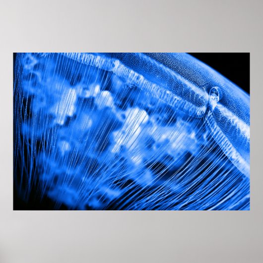 ブルームーンライジング ポスター (正面)