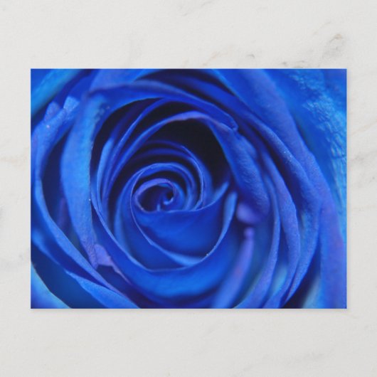 ブルームーン ポストカード (正面)