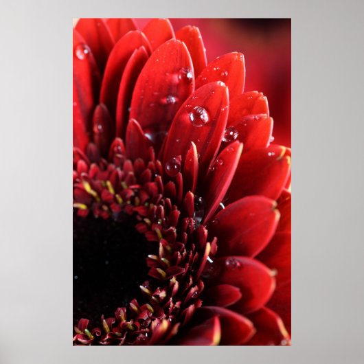 ブルーム ポスター (正面)