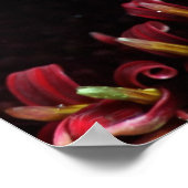 ブルーム ポスター (角)