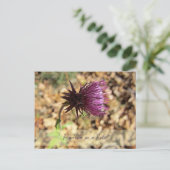 ブルーム... ポストカード (スタンド正面)