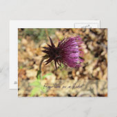 ブルーム... ポストカード (正面/裏面)