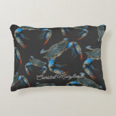 ブルーメリーランドクラブアクセント装飾用クッション アクセントクッション (正面)