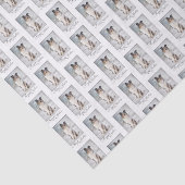 ブルーメルルシェットランド・ シープドッグクリスマスティッシュペーパー 薄葉紙 (詳細)