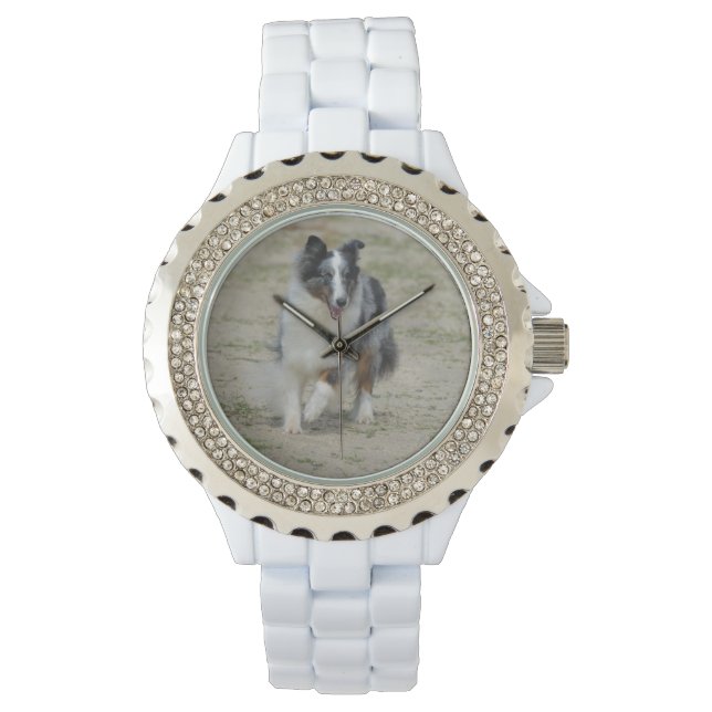 ブルーメルレオーストラリアシェパード 腕時計 (正面)