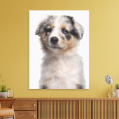ブルーメルレオーストラリア羊飼い子犬クローズアップ キャンバスプリント (インサイチュ (リビング))