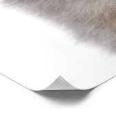 ブルーメルレオーストラリア羊飼い子犬クローズアップ ポスター (角)