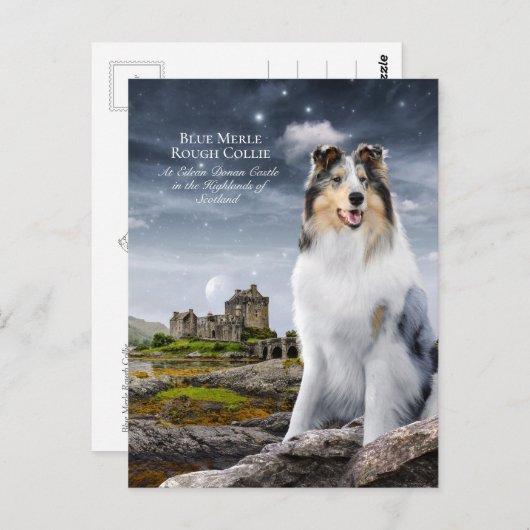 ブルーメルレラフCollie at Eilean Donan Castle - ポストカード (正面/裏面)