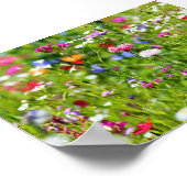 ブルーメンウィーゼ ポスター (角)