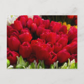 ブルーメン市場 フラワー ポストカード (正面)