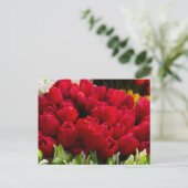 ブルーメン市場 フラワー ポストカード (スタンド正面)