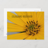 ブルーメン・グリュス ポストカード (正面/裏面)