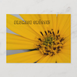 ブルーメン・グリュス ポストカード