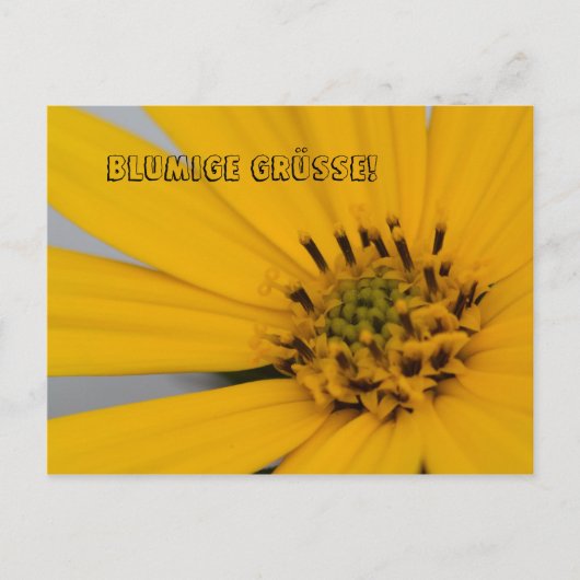 ブルーメン・グリュス ポストカード (正面)