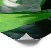 ブルーモルフォバタフライ ポスター (角)