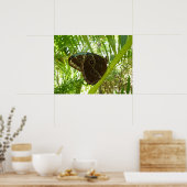 ブルーモルフォ蝶の熱帯自然写真 ポスター (キッチン)