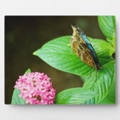 ブルーモルフォ143プラーク フォトプラーク (正面)