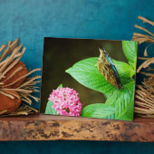 ブルーモルフォ143プラーク フォトプラーク (側面)