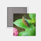 ブルーモルフォ143マグネット マグネット (正面/裏面)