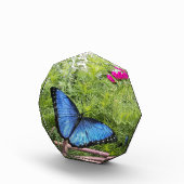 ブルーモルホバタフライ素朴デザイン フォトブロック (右)