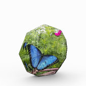 ブルーモルホバタフライ素朴デザイン フォトブロック (左)