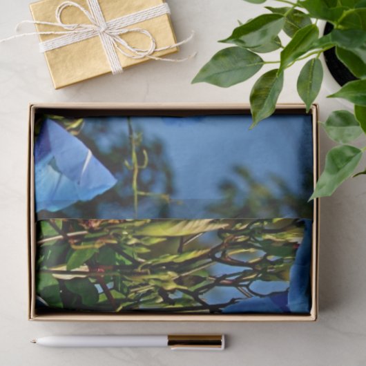 ブルーモーニンググローリーパーソナライズされたティッシュペーパー 薄葉紙 (ギフト)