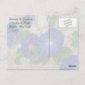 ブルーモーニンググローリーフラワーサンキュー ポストカード (裏面)