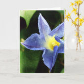 ブルーモーニンググローリーフラワー カード (黄色い花)