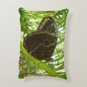 ブルーモーフォバタフライ自然撮影 アクセントクッション (裏面(縦))