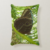 ブルーモーフォバタフライ自然撮影 アクセントクッション (正面(垂直))