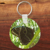 ブルーモーフォバタフライ自然撮影 キーホルダー (正面)