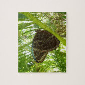 ブルーモーフォバタフライ自然撮影 ジグソーパズル (縦)