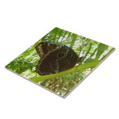 ブルーモーフォバタフライ自然撮影 タイル (側面)