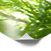 ブルーモーフォバタフライ自然撮影 フォトプリント (角)