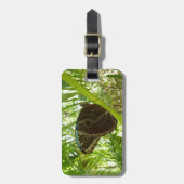 ブルーモーフォバタフライ自然撮影 ラゲッジタグ (正面縦)