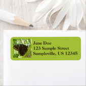 ブルーモーフォバタフライ自然撮影 ラベル (インサイチュ)